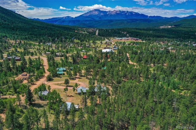 birds eye view of property featuring a mountain view