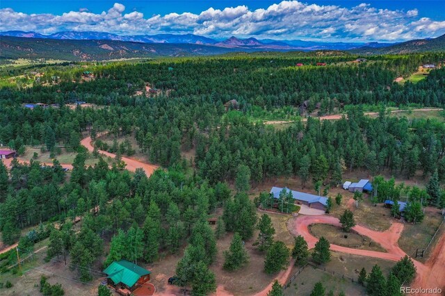 drone / aerial view featuring a mountain view