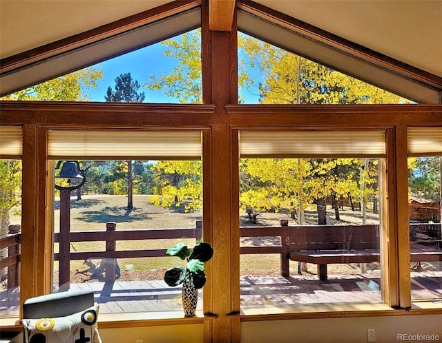 2220 Lee Circle Dr, Woodland Park, CO 80863 - photo 8
