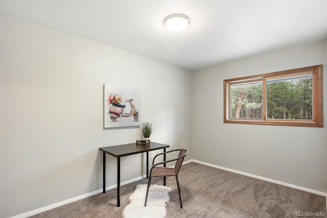 2220 Lee Circle Dr, Woodland Park, CO 80863 - photo 16
