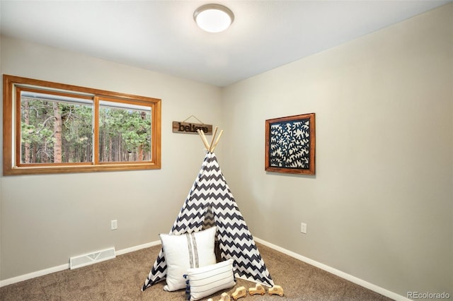 2220 Lee Circle Dr, Woodland Park, CO 80863 - photo 17