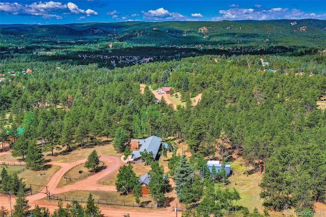 2220 Lee Circle Dr, Woodland Park, CO 80863 - photo 3