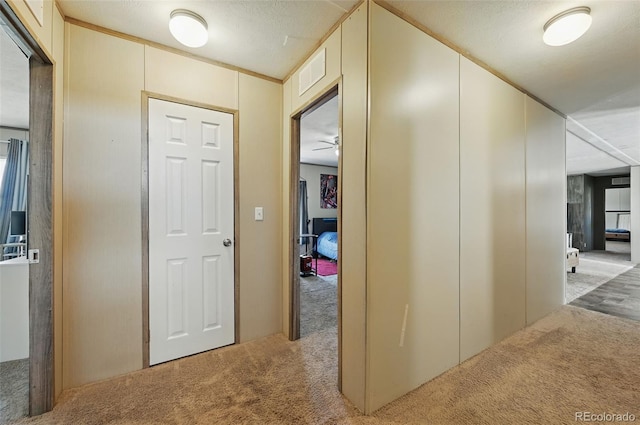 30890 Ken Vw, Yoder, CO 80864 - hallway featuring carpet flooring