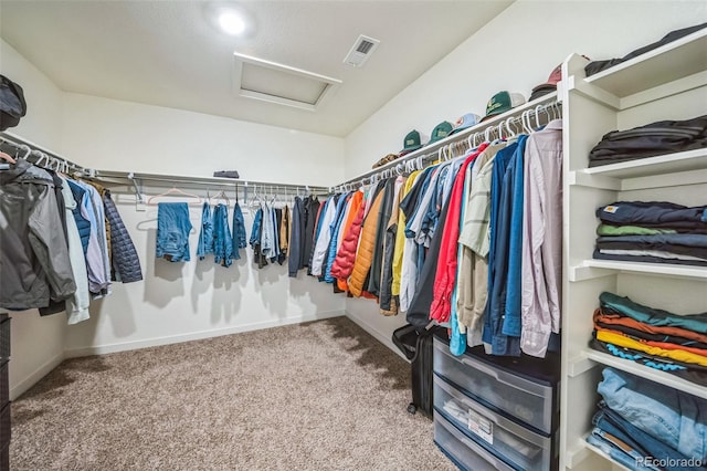 spacious closet with carpet flooring