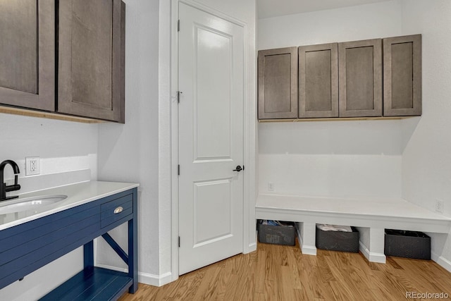 laundry area with light hardwood / wood-style flooring and sink