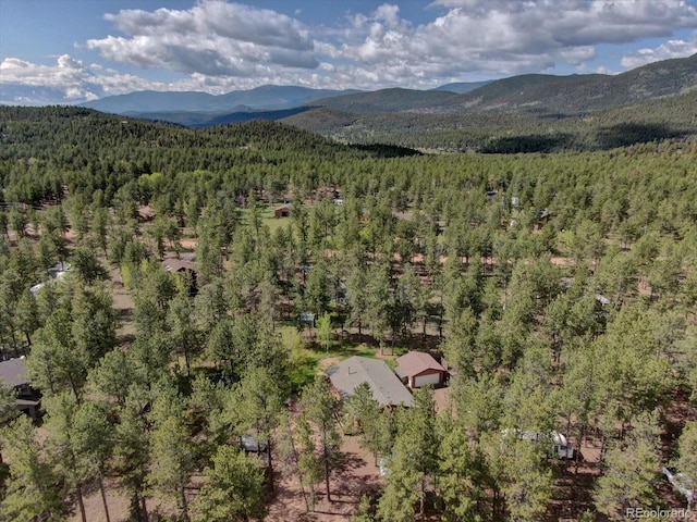 332 Tincup Ter, Bailey, CO 80421 - photo 7