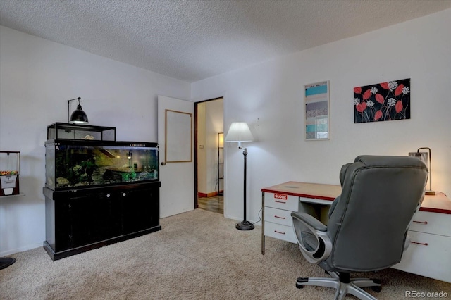 332 Tincup Ter, Bailey, CO 80421 - photo 15