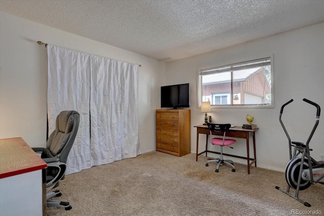 332 Tincup Ter, Bailey, CO 80421 - photo 16