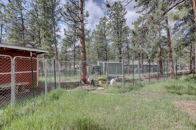 332 Tincup Ter, Bailey, CO 80421 - photo 26