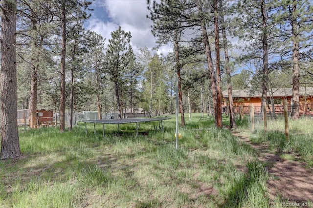 332 Tincup Ter, Bailey, CO 80421 - photo 28