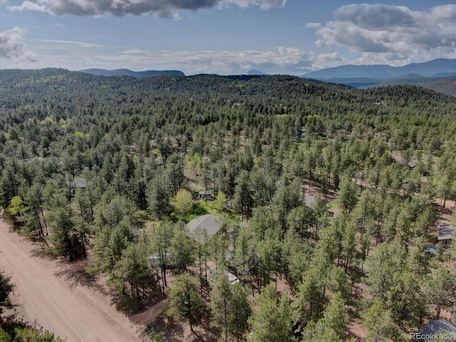 332 Tincup Ter, Bailey, CO 80421 - photo 30