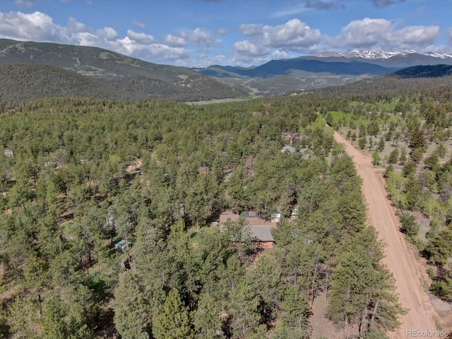 332 Tincup Ter, Bailey, CO 80421 - photo 31