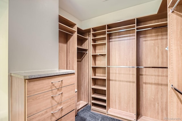 1200 Acoma St Unit 304, Denver, CO 80204 - photo 19