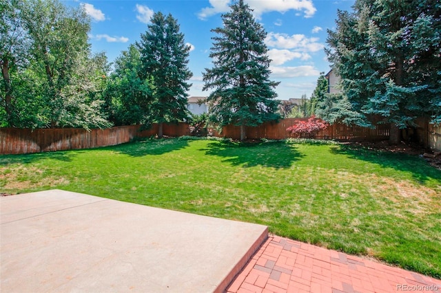 9270 Cornell Cir, Highlands Ranch, CO 80130 - photo 22