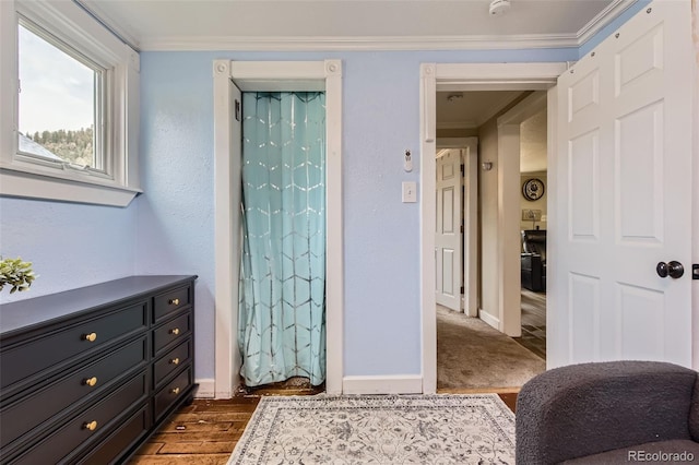 bedroom featuring crown molding, baseboards, and dark wood-type flooring