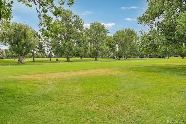 13873 E Lehigh Ave Unit C, Aurora, CO 80014 - view of community featuring a yard and view of wooded area