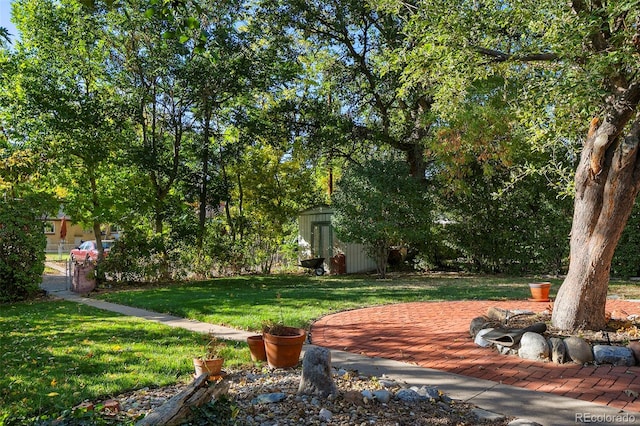 view of yard featuring a storage shed