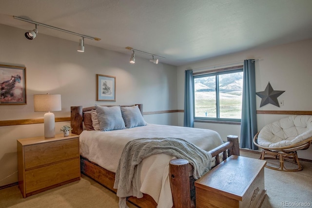 311 Longs Rd, Silverthorne, CO 80498 - bedroom featuring track lighting and light carpet