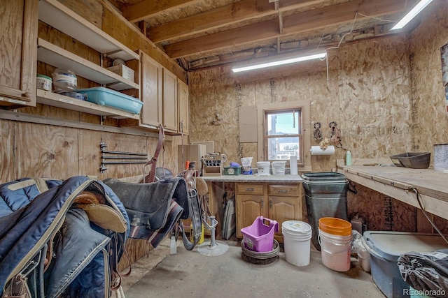 311 Longs Rd, Silverthorne, CO 80498 - view of storage area