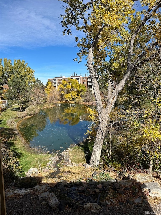 view of water feature