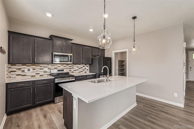 1743 Floret Dr, Windsor, CO 80550 - photo 12