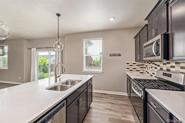 1743 Floret Dr, Windsor, CO 80550 - photo 15