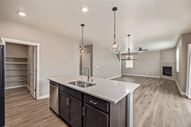 1743 Floret Dr, Windsor, CO 80550 - photo 16