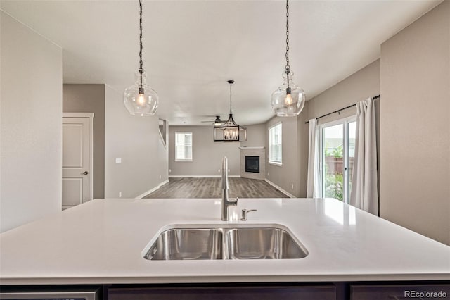 1743 Floret Dr, Windsor, CO 80550 - photo 17