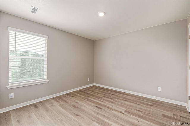 1743 Floret Dr, Windsor, CO 80550 - photo 31