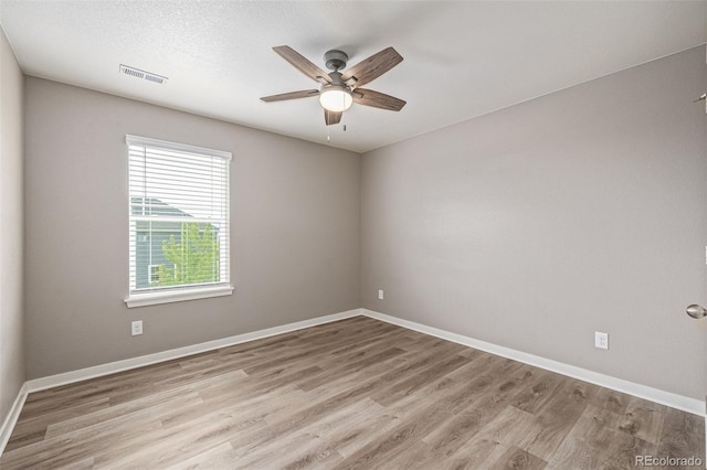 1743 Floret Dr, Windsor, CO 80550 - photo 35