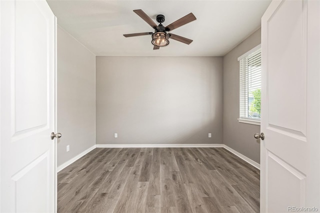 1743 Floret Dr, Windsor, CO 80550 - photo 37