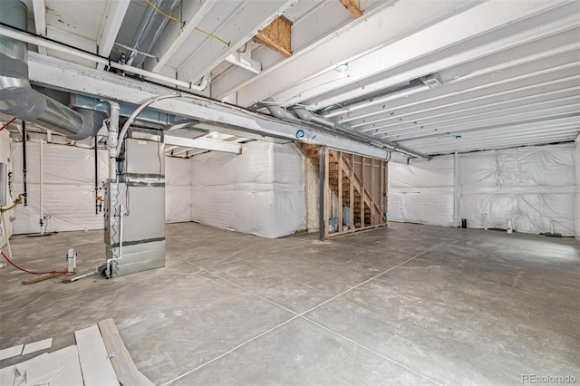 1743 Floret Dr, Windsor, CO 80550 - photo 40