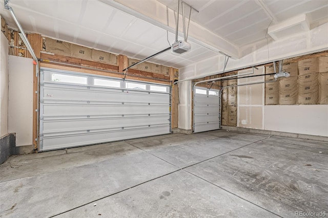 1743 Floret Dr, Windsor, CO 80550 - photo 41