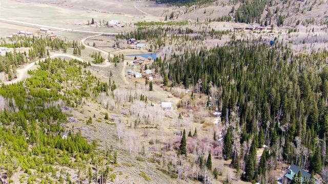 520 County Road 52, Granby, CO 80446 - photo 9