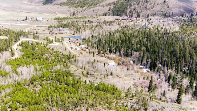 520 County Road 52, Granby, CO 80446 - photo 10