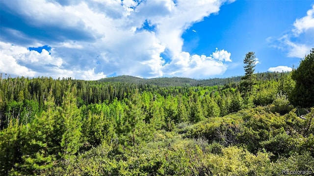 520 County Road 52, Granby, CO 80446 - photo 3