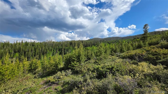 520 County Road 52, Granby, CO 80446 - photo 6