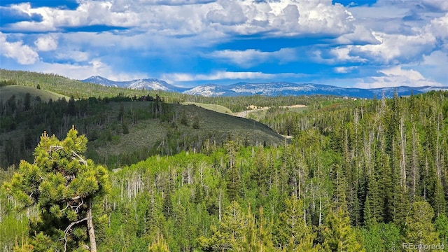 520 County Road 52, Granby, CO 80446 - photo 4