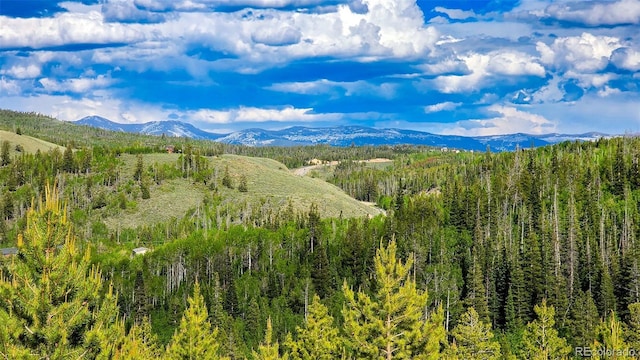520 County Road 52, Granby, CO 80446 - photo 5