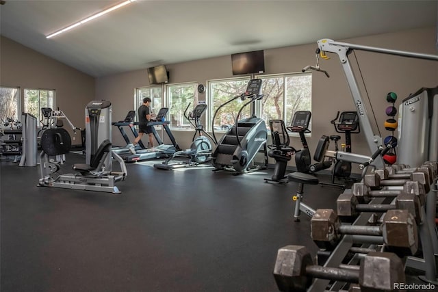 exercise room featuring vaulted ceiling