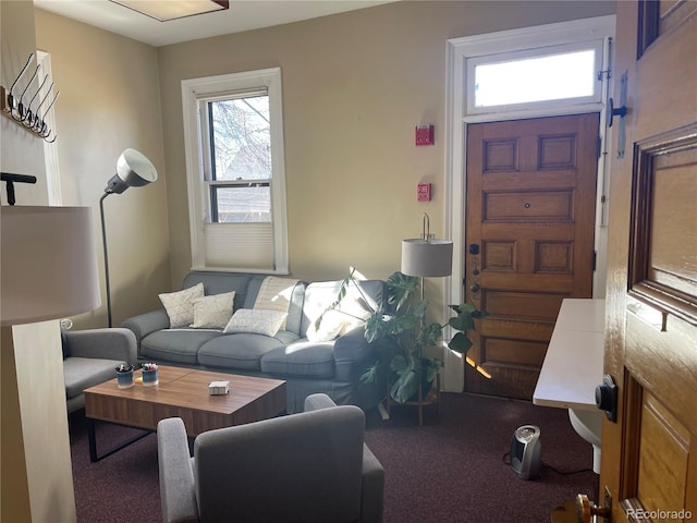 1625 N Downing St, Denver, CO 80218 - view of carpeted living area