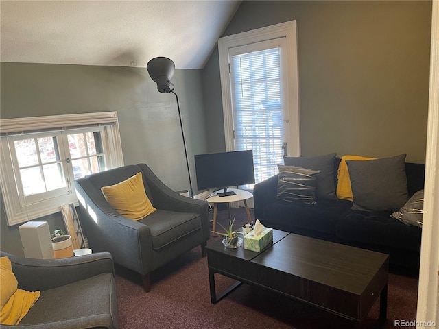 1625 N Downing St, Denver, CO 80218 - living area with vaulted ceiling and carpet flooring