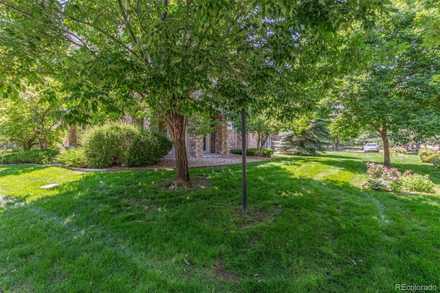 8427 S Hoyt Way Unit 107, Littleton, CO 80128 - view of green lawn