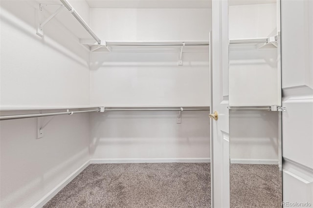 8427 S Hoyt Way Unit 107, Littleton, CO 80128 - walk in closet featuring carpet