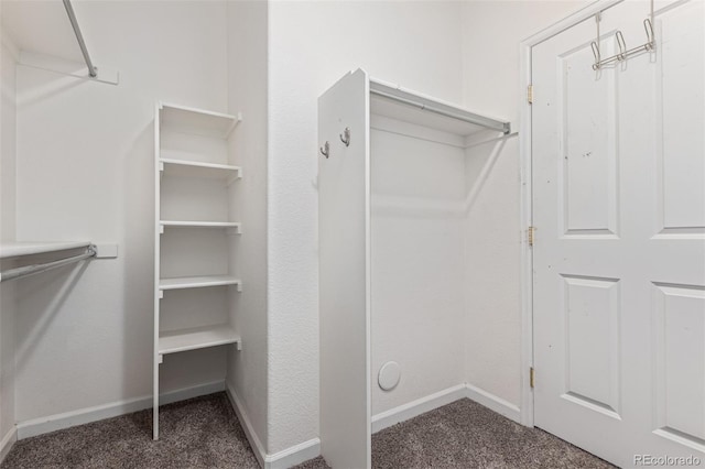 8427 S Hoyt Way Unit 107, Littleton, CO 80128 - spacious closet with carpet floors