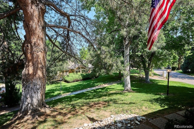 4675 S Yosemite St Unit 205, Denver, CO 80237 - photo 4