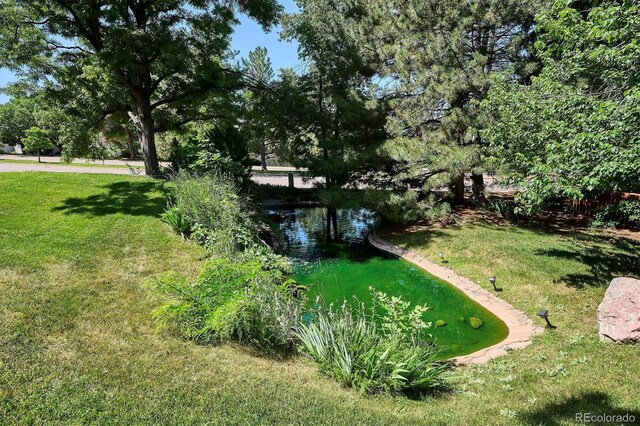 4675 S Yosemite St Unit 205, Denver, CO 80237 - photo 10