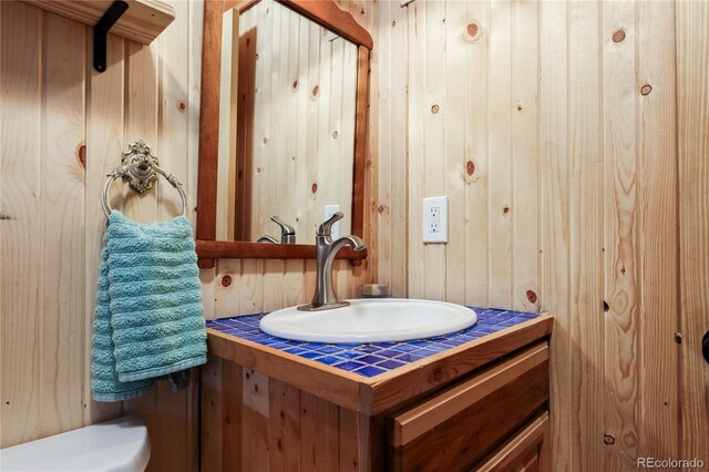 256 Fisk Fenner Rd, Allenspark, CO 80510 - half bathroom featuring vanity and wood walls