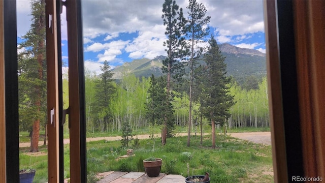 256 Fisk Fenner Rd, Allenspark, CO 80510 - view of mountain background featuring a forest