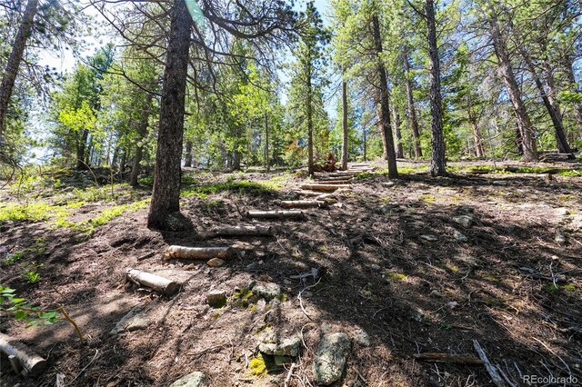 256 Fisk Fenner Rd, Allenspark, CO 80510 - view of local wilderness